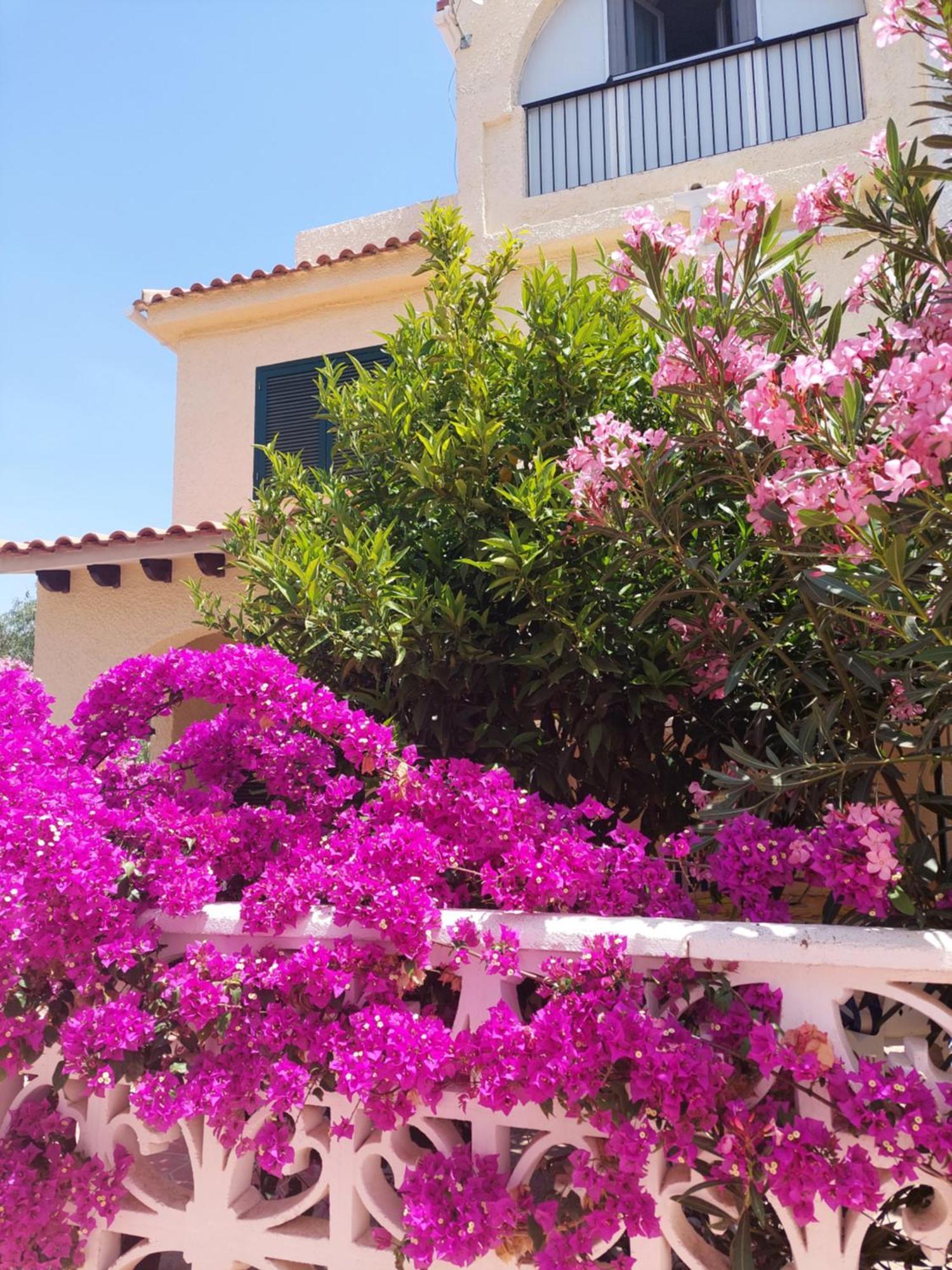 Haus Am Meer Torrevieja Exterior photo